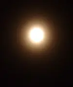 P1060210.webp