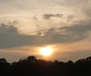P1060221.webp