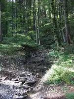 bachlauf.webp