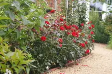 DSC09818(1).webp