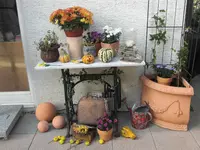 CIMG3904.webp
