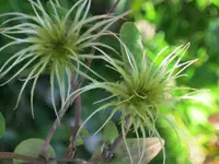 037.webp