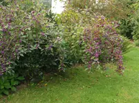 P9245867.webp