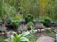 SDC12240.webp SDC12240.webp