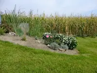 DSCF5130.webp