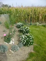 DSCF5131.webp