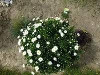 DSCF5132.webp
