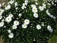 DSCF5133.webp