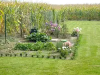 DSCF5138.webp