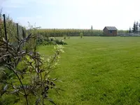 DSCF5141.webp