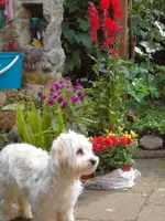 SDC12247.webp