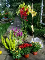 SDC12248.webp