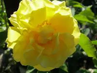 004.webp