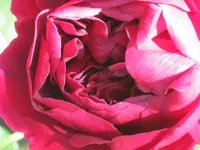 016.webp