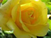 012.webp
