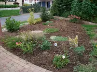 Vorgarten 001.webp