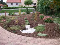 Vorgarten 002.webp