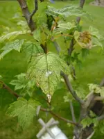 DSCF4614.webp
