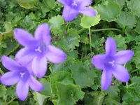 IMG_2560.webp