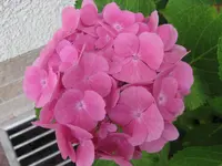 IMG_2567.webp