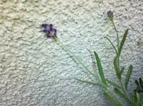 Foto0358.webp