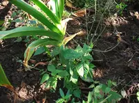 DSCF0712.webp
