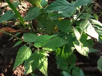 DSCF0713.webp