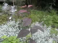 BILD0190.webp