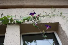 3498_800x532.webp