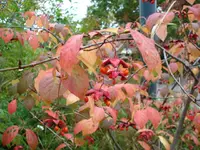 2010 09 25 005.webp