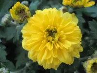 36000.webp