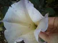 DSC01809.webp