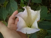 DSC01810.webp