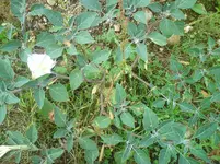 DSC01811.webp