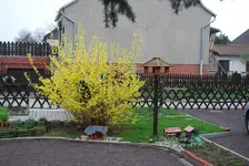 DSC_0004 (4).webp DSC_0004 (4).webp