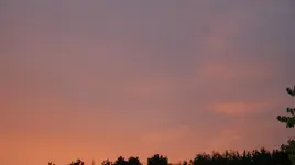 DSC04233.webp
