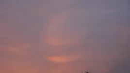 DSC04234.webp
