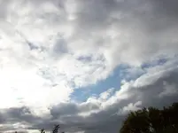 100_2235.webp