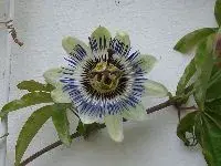 image002.webp
