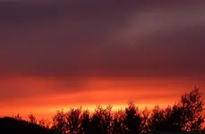 P1060276.webp