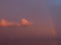 P1060266.webp