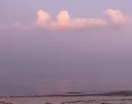 P1060270.webp