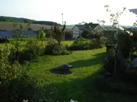 sad cherry tree.webp
