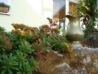 decoration.webp