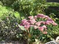 Garten 020.webp