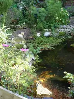 Garten 029.webp