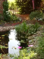 Garten 030.webp