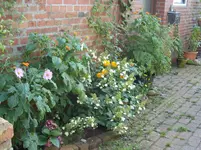 Garten 031.webp