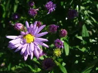 DSCF4149.webp