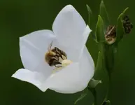 DSC03834(1).webp